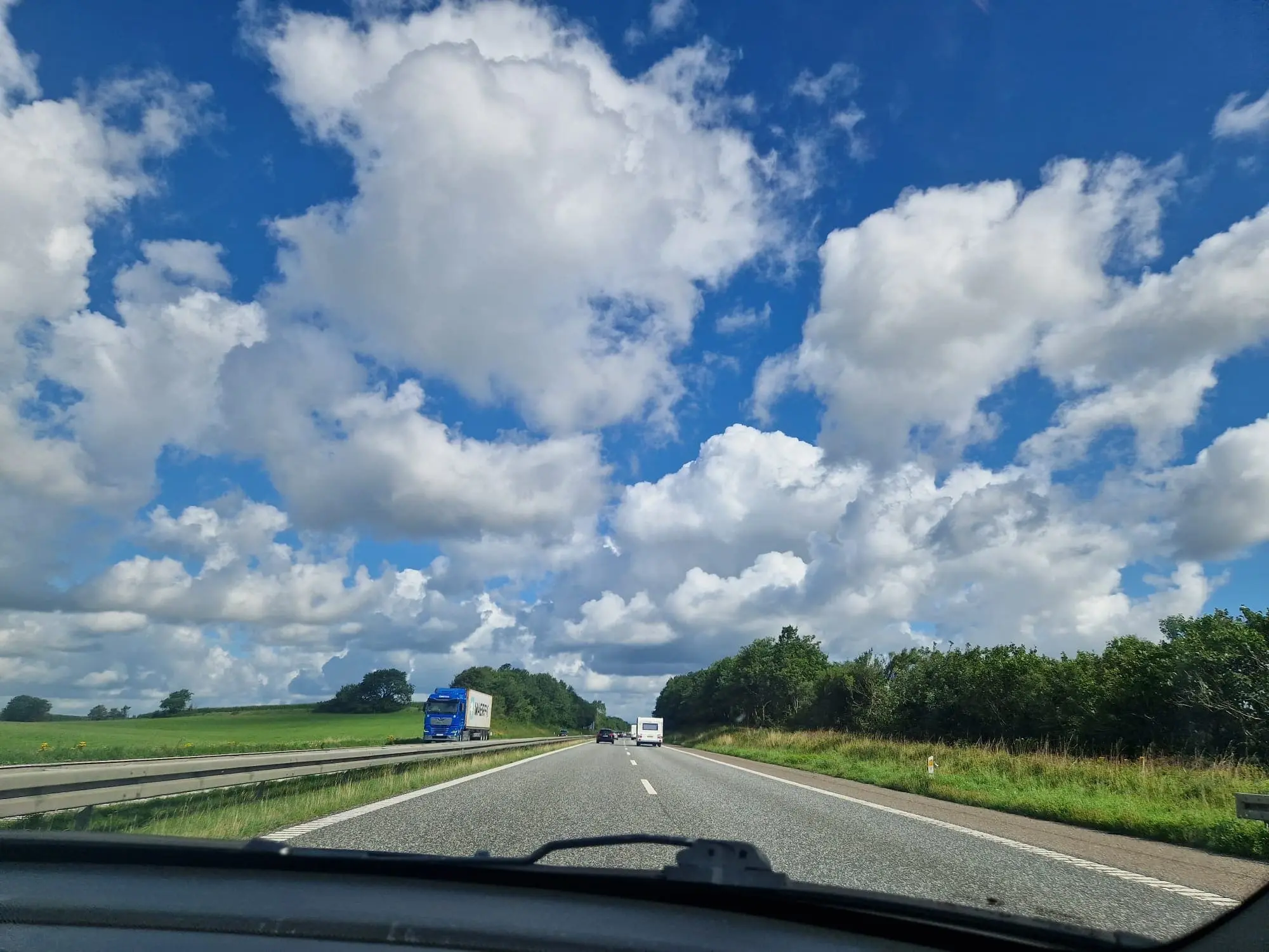 Zweedse weg met dennenbomen